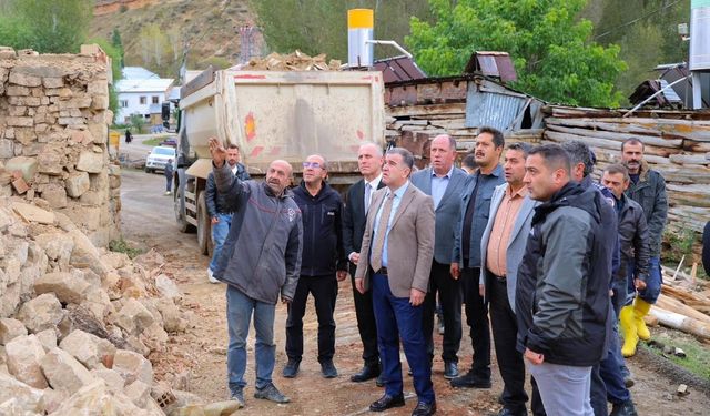 Vali Heybetepe'deki yangın bölgesinde incelemelerde bulundu