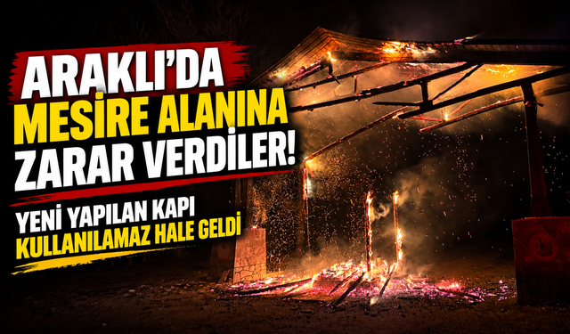 Araklı’da Turup Mesire Alanı’nın Giriş Kapısı Yakıldı