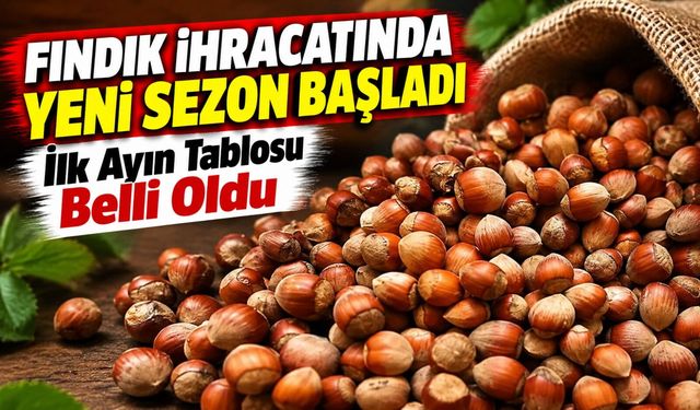Fındık İhracatında Yeni Sezon Başladı: İlk Ayın Tablosu Belli Oldu