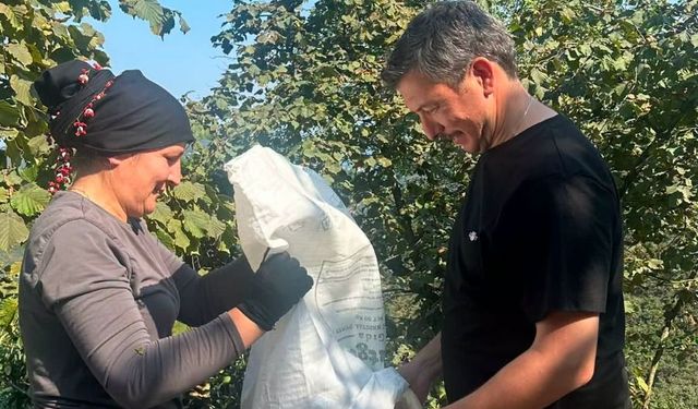 MHP'li Konal'dan Fındık Fiyatlarına Tepki! "Bu Bir Ayıptır"