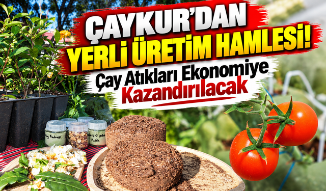 ÇAYKUR'dan Yerli Üretim Hamlesi! Çay Atıkları Ekonomiye Kazandırılacak