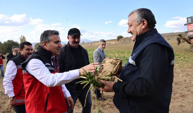 Kelkit'te Tarım Hamlesi! Vali Ve Başkan Hasada Katıldı