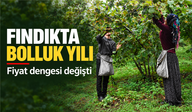 KARADENİZ’DE KABUKLU FINDIK REKOLTESİ FİYATLARI GERİLETTİ