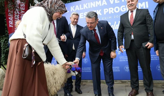 Trabzon'da Hayvancılığa Yüzde 90 Hibe Desteği: Maçka'da 36 Üreticiye 180 Koyun Dağıtıldı!