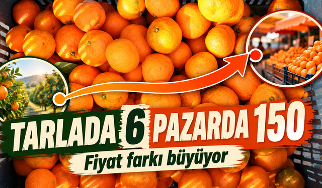 Mandalina Tarlada 6 Lira, Pazarda 150 Lira: Fark Neden Büyüyor
