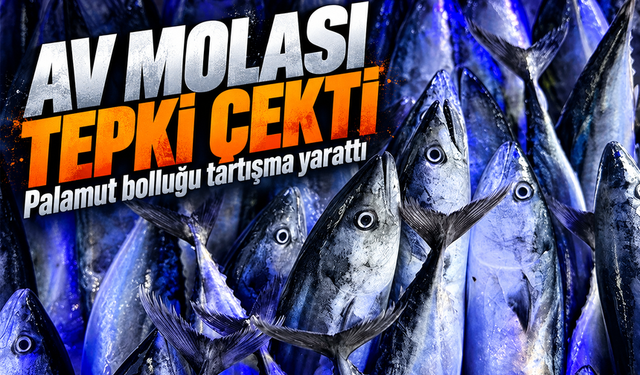 Palamut Bolluğunda Av Molası Çağrısı Tepki Çekti, Birlik Açıklama Yaptı