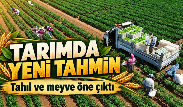 Bitkisel Üretimde Yeni Tahmin: Tahıl ve Meyvede Artış Bekleniyor