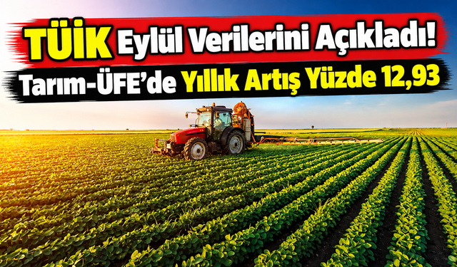 Tarım-üfe’de Yıllık Artış Yüzde 12,93: Sebze Grubu Öne Çıktı