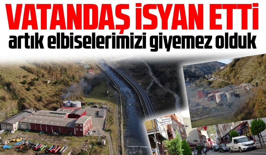 Trabzon'un bu ilçesi yıllardır balık kokusuna çözüm arıyor