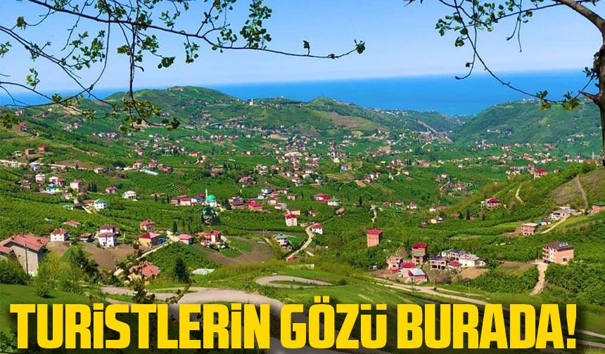 Turistlerin Trabzon'daki Gözdesi Aygören Vadisi