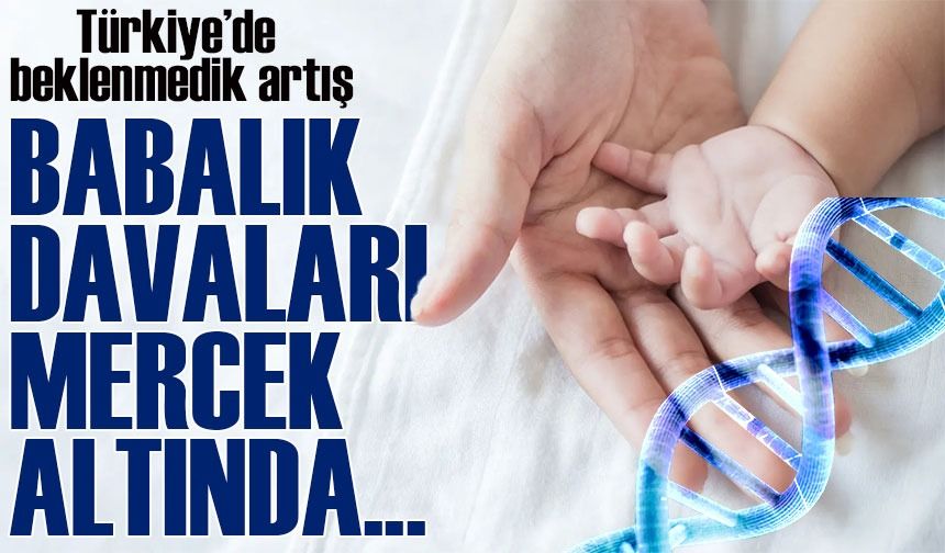 Babalık Davaları Türkiye'de Artış Gösterdi: Pandemi Döneminde Rekor Başvuru