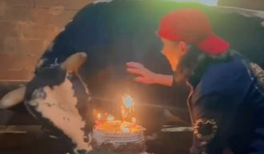 Boğa Ateş'in Doğum Günü Sürprizi: Özlem Öztürk'ten Unutulmaz Kutlama!