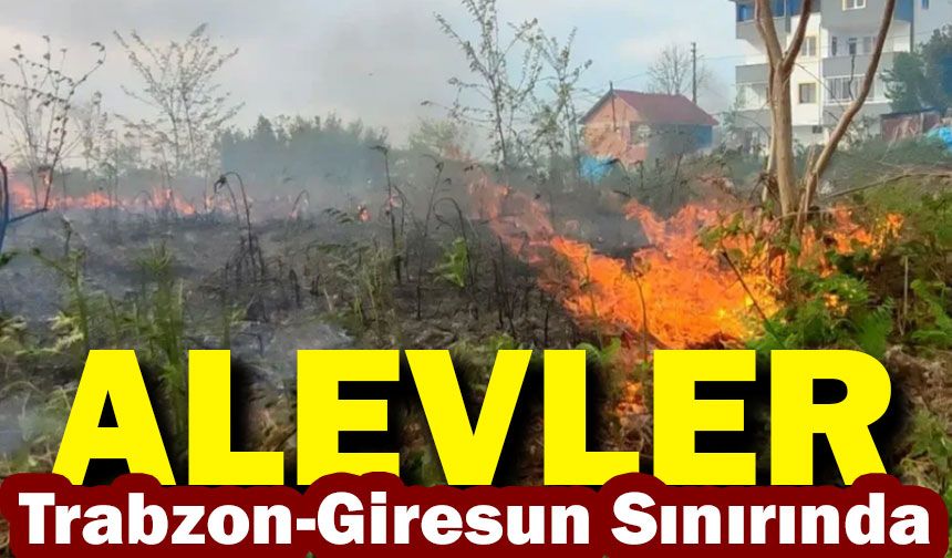 Trabzon-Giresun Sınırında Çıkan Örtü Yangını İtfaiyenin Hızlı Müdahalesiyle Kontrol Altına Alındı