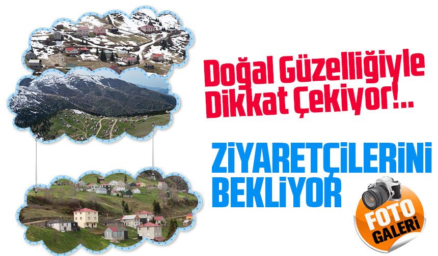 Trabzon ve Giresun Sınırındaki Yayla, Doğal Güzelliğiyle Dikkat Çekiyor
