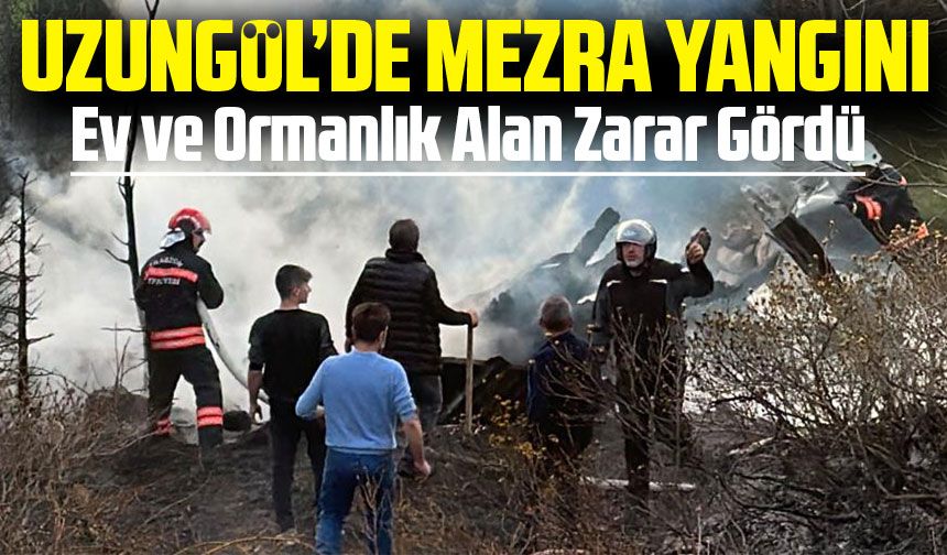 Trabzon'un Çaykara İlçesinde Mezrada Yangın: Ev ve Ormanlık Alan Zarar Gördü