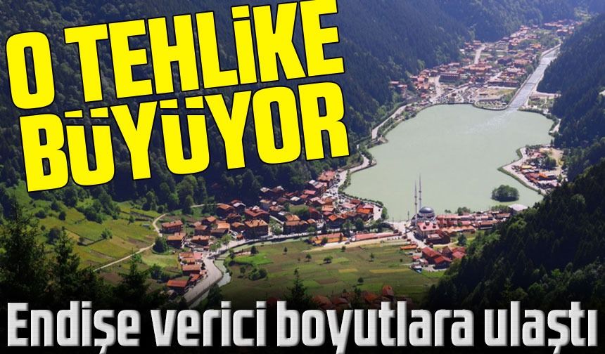 Trabzon'da Kayıt Dışı Konaklama Tesisleri Endişe Verici Boyutlara Ulaştı