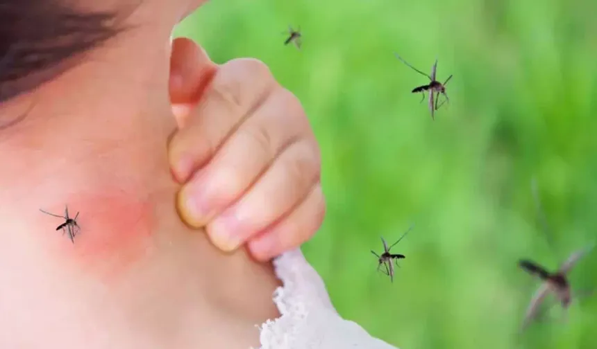 Sakın bunu sürmeyin: Sivrisinek ısırıklarını daha kötü yapıyor