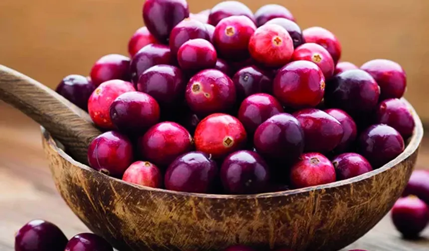 Turna Yemişi (Cranberry): Sağlığın Kırmızı Mucizesi