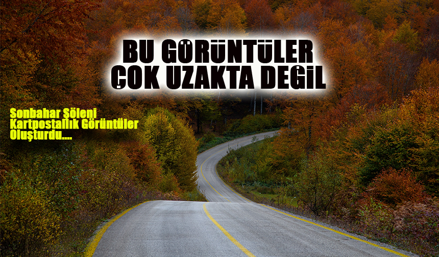 Sonbahar Renkleriyle Büyüleyici Görüntüler