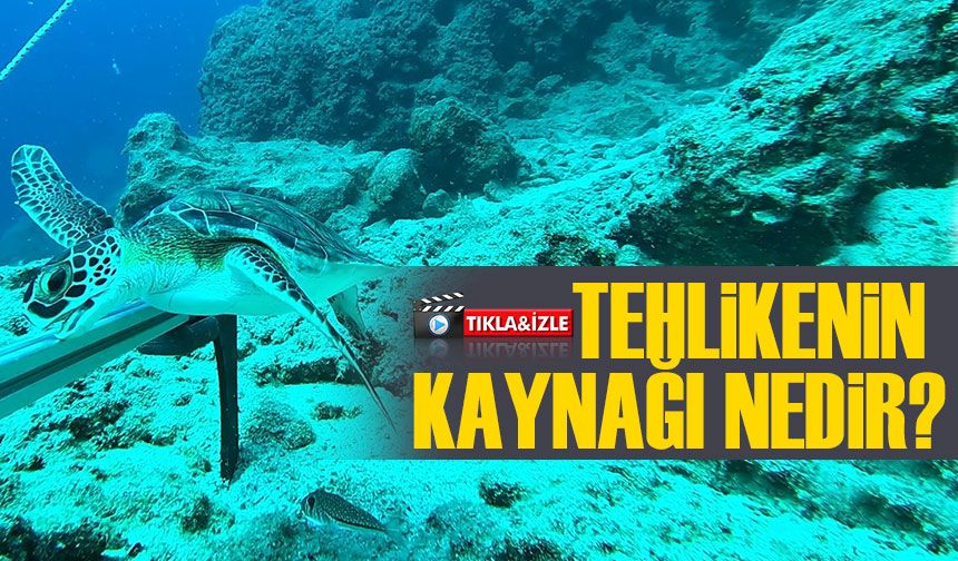 Karadeniz’de Mikroplastik Alarmı: Tehlikenin Kaynağı Nehirler