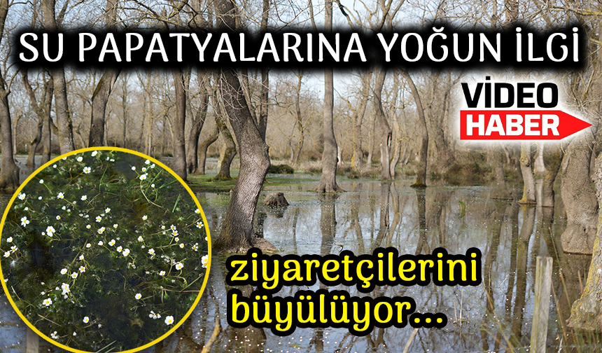 Doğa Tutkunlarının Yeni Adresi: Ziyaretçileri Büyülüyor!