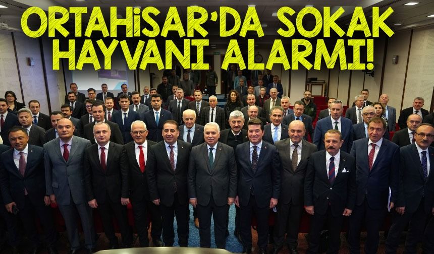 Ortahisar’da Sokak Hayvanı Alarmı! Başkan Kaya’dan Çarpıcı Uyarı