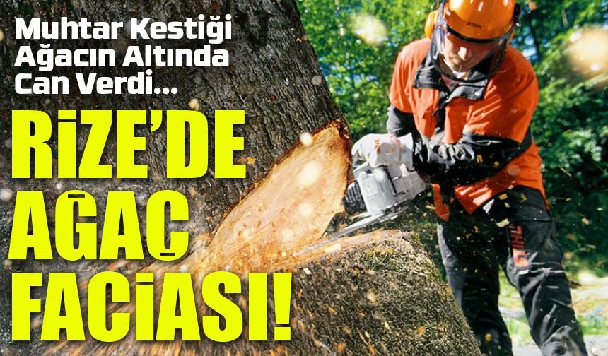 Rize’de Ağaç Faciası! Muhtar Kestiği Ağacın Altında Can Verdi
