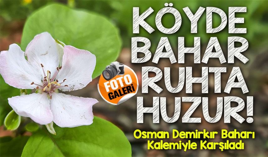 Osman Demirkır Baharı Kalemiyle Karşıladı: “Doğa Harika, Beden Yorulsa da Ruh Dinleniyor”