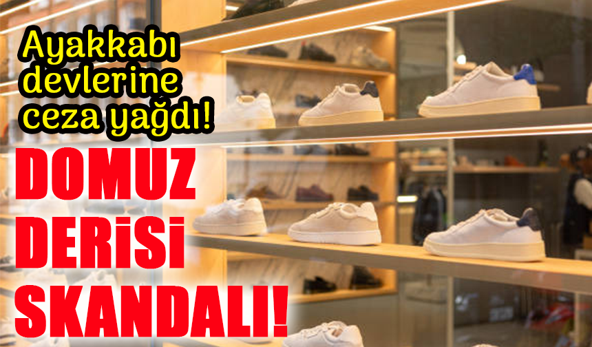 Ayakkabı devlerine ceza yağdı: Domuz derisi skandalı!