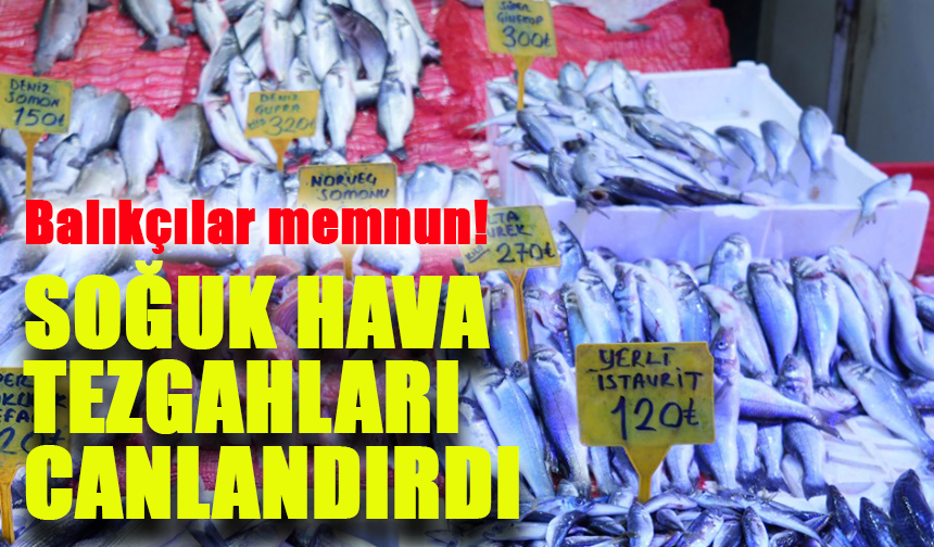 Soğuk Hava Tezgahları Canlandırdı: Balıkçılar Memnun!