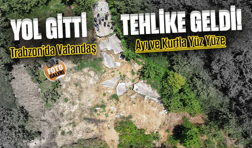 Heyelanın Ardından Vahşi Hayvan Korkusu: Trabzon'un Bu İlçesinde Yol Mağduriyeti 8 Aydır Sürüyor