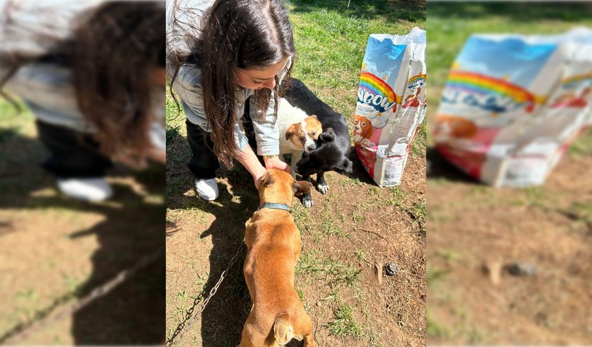 Avrasya Üniversitesi Öğrencileri Gönüllülükle Topluma Katkı Sunuyor
