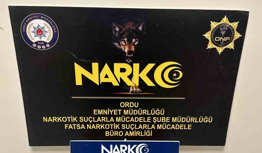 Ordu’da uyuşturucu operasyonlarında 1 tutuklama