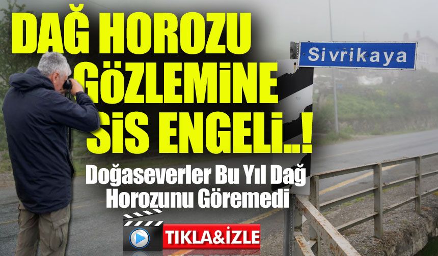 Dağ Horozu Gözlemine Sis Engeli: İkizdere’de 20. Şenlik Görüntüsüz Geçti