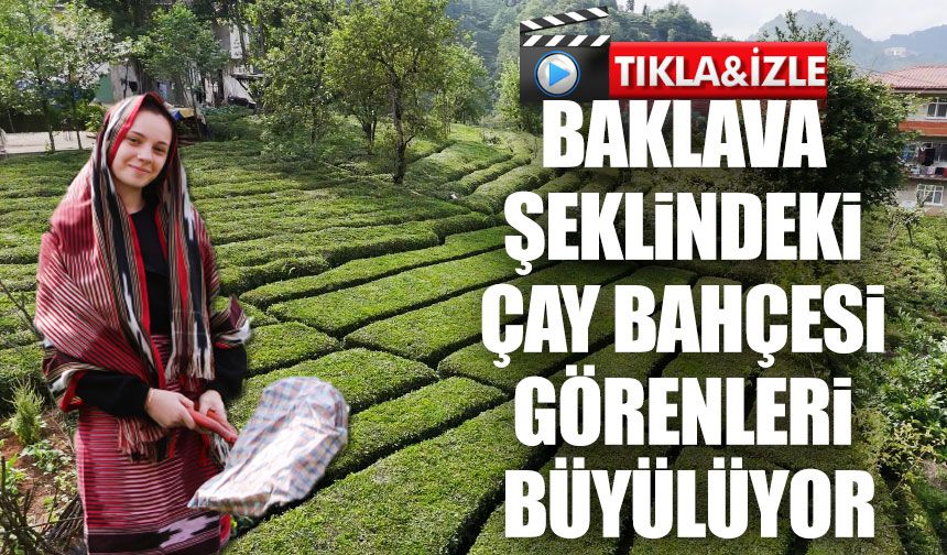 Rize’nin Yeni Gözdesi: Baklava Şeklindeki Çay Bahçesi Sosyal Medyada Olay Oldu