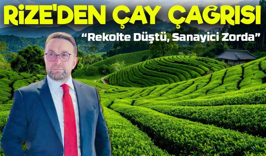 Rize'den Çay Çağrısı: Üretici ve Sanayici Zorda!