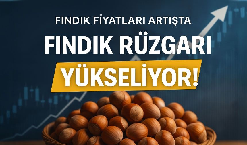 Fındık Fiyatları Tekrar Güncellendi: İşte Güncel Fiyatlar...