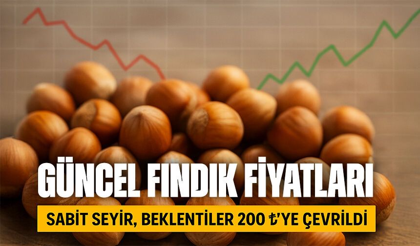 Güncel Fındık Fiyatları Nasıl? Fiyatlar Yükselecek mi, Düşecek mi?