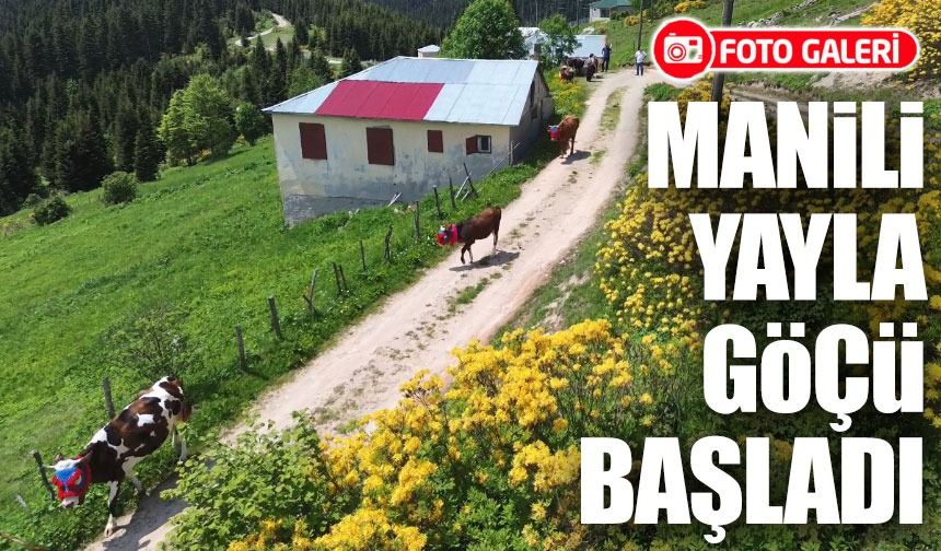 Karadeniz’de türkülü yayla göçü başladı: Renkli görüntüler, köklü gelenekler