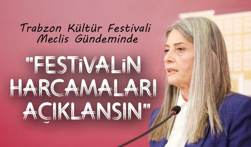 CHP'li Suiçmez, Kültür Yolu Festivali’ni Meclis Gündemine Taşıdı