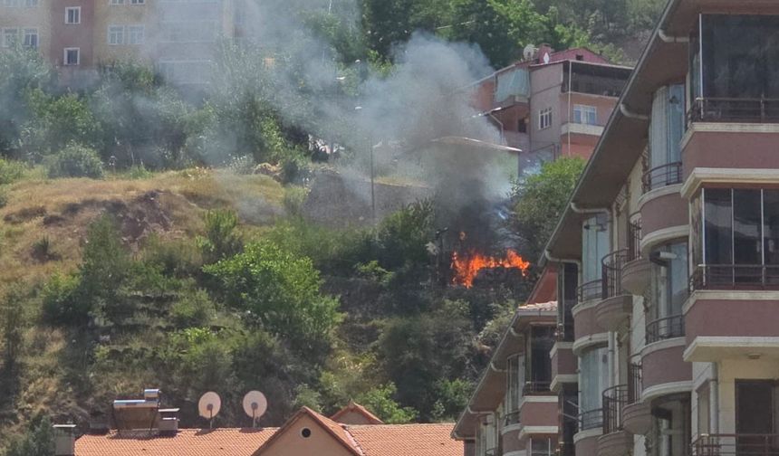 Dut Kaynatırken Ateşe Tutuldu! Müstakil Evde Feci Yangın