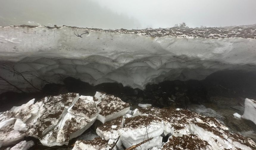 Fotoğraf Çekmek İsterken Can Verdi! Rize'den Acı Haber