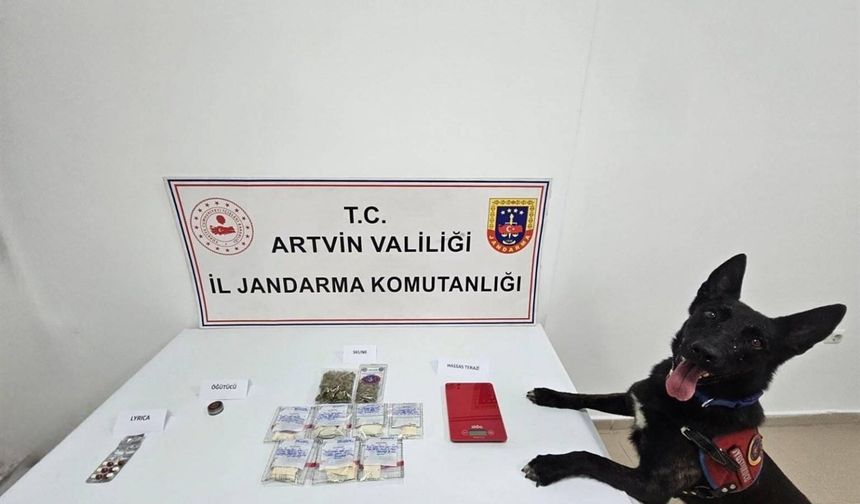 Artvin'de zehir operasyonu: Satışa hazır maddeyle yakalandılar