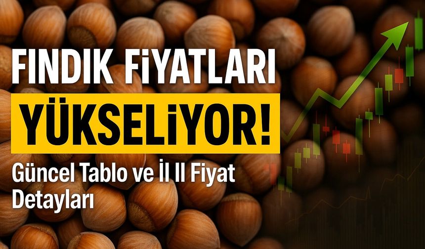 Fındık Fiyatları Ne Kadar Oldu? Düşüş Devam Edecek Mi?