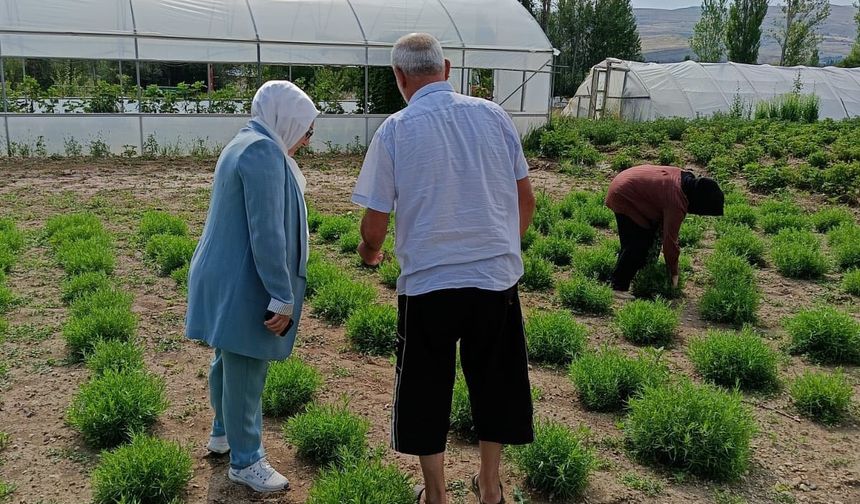 Bayburt Tarhunu'na Coğrafi İşaret Sonrası İlk Denetim