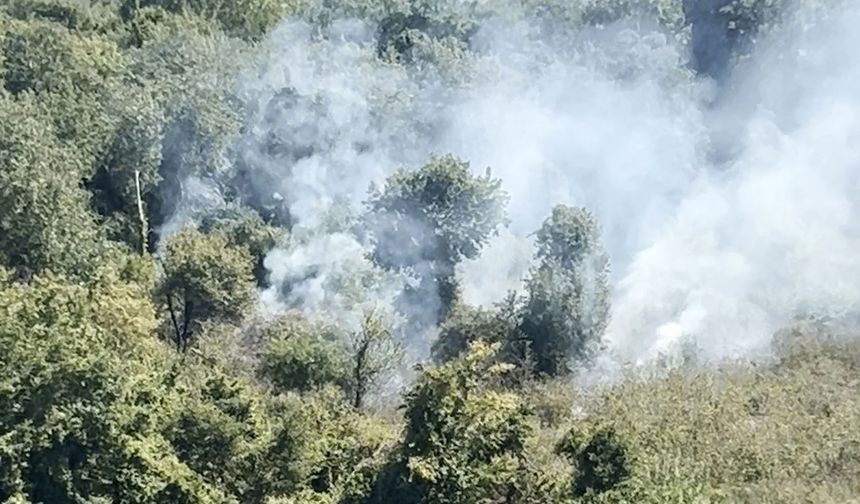 "Bahçeyi Temizleyeyim" Derken Yangın Çıkardı!