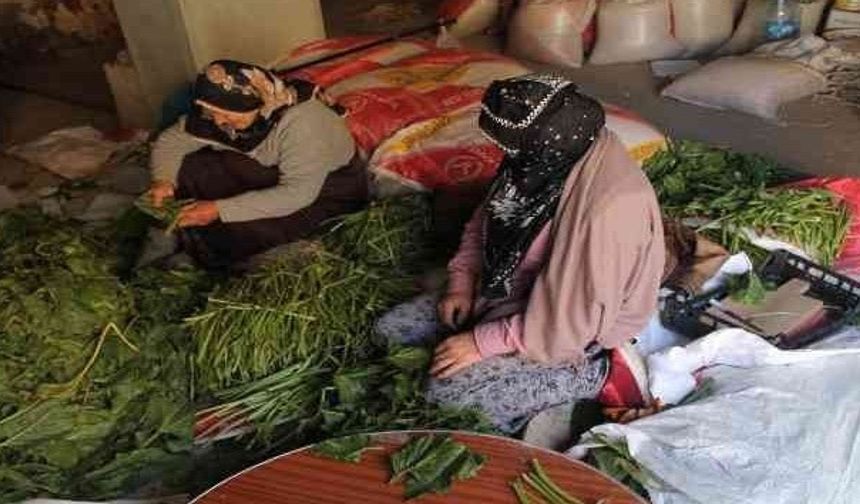 Kış Yaklaştı! Konserve ve Turşu Mesaisi Başladı...