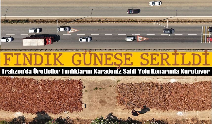 Trabzon’da Üreticiler Fındıklarını Karadeniz Sahil Yolu Kenarında Kurutuyor