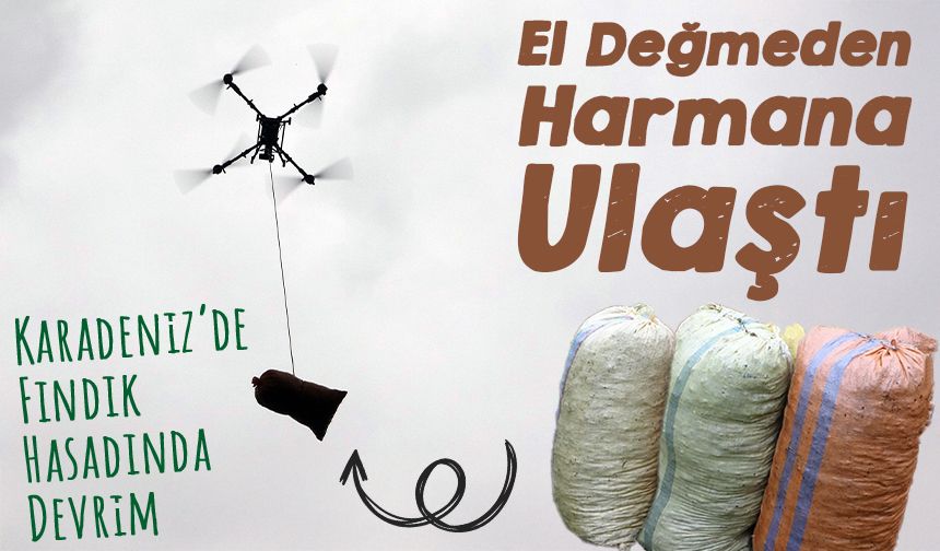 Karadeniz’de Fındık Hasadında Devrim: Üreticilerin Yükünü Dronlar Hafifletti!