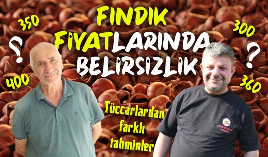 Giresun’da fındık fiyatlarında belirsizlik: Tüccarlardan farklı tahminler